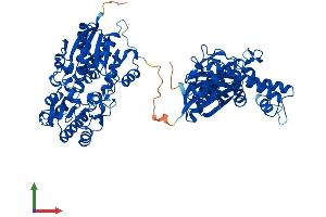 Protein Structure (PS) image for Glucosamine (UDP-N-Acetyl)-2-Epimerase/N-Acetylmannosamine Kinase (GNE) (AA 1-722) protein (His tag) (ABIN7564802)