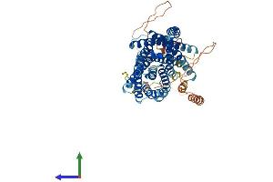 Protein Structure (PS) image for Solute Carrier Family 41, Member 2 (SLC41A2) (AA 1-573) protein (His tag) (ABIN7551654)