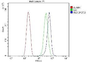 Flow Cytometry analysis of SiHa cells using anti-Glutaminase/GLS antibody (ABIN7601603).