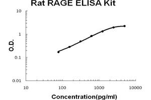 Rat RAGE Accusignal ELISA Kit Rat RAGE AccuSignal ELISA Kit standard curve. (RAGE ELISA 试剂盒)