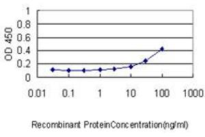 ELISA image for anti-Polo-Like Kinase 1 (PLK1) (AA 1-603) antibody (ABIN562276)