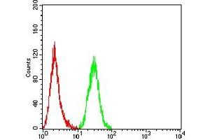 Flow cytometric analysis of Hela cells using XIAP mouse mAb (green) and negative control (red). (XIAP 抗体  (AA 1-268))