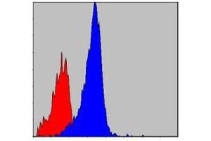 Flow cytometric analysis of NIH/3T3 cells using CRKL mouse mAb (blue) and negative control (red). (CrkL 抗体)