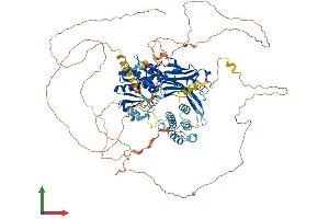 Protein Structure (PS) image for DnaJ (Hsp40) Homolog, Subfamily C, Member 6 (DNAJC6) (AA 1-938) protein (His tag) (ABIN7564245)