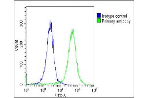 Overlay histogram showing HeLa cells stained with (green line). (CD59 抗体  (AA 74-110))