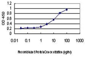 Detection limit for recombinant GST tagged RAB6A is approximately 1ng/ml as a capture antibody. (RAB6A 抗体  (AA 109-208))