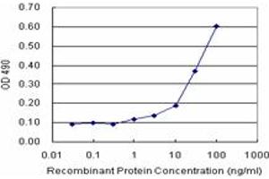 Sandwich ELISA detection sensitivity ranging from 10 ng/mL to 100 ng/mL. (PLSCR1 (人) Matched Antibody Pair)