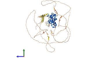 AlphaFold protein structure predicition of Mouse Recombinant Tbx3 Protein, UniprotID P70324