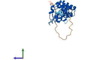 Protein Structure (PS) image for Ankyrin Repeat Domain 39 (ANKRD39) (AA 1-183) protein (His tag) (ABIN7552158)