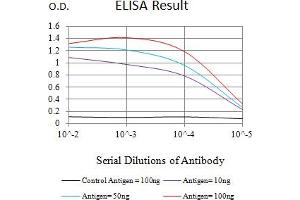 Black line: Control Antigen (100 ng),Purple line: Antigen (10 ng), Blue line: Antigen (50 ng), Red line:Antigen (100 ng) (14-3-3 theta 抗体  (AA 1-245))