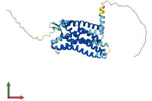 Protein Structure (PS) image for Chemokine (C-C Motif) Receptor 5 (CCR5) (AA 1-354) protein (His tag) (ABIN7563393)