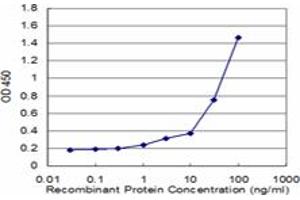 Detection limit for recombinant GST tagged POLQ is approximately 1ng/ml as a capture antibody. (POLQ 抗体  (AA 2572-2680))