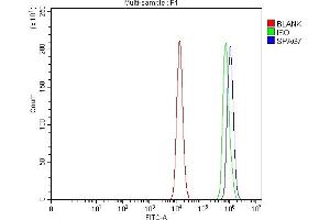 Flow Cytometry analysis of HCT116 cells using anti-SPAG7 antibody (ABIN7599072).
