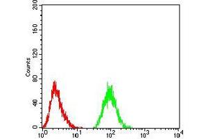 Flow cytometric analysis of Jurkat cells using THAP1 mouse mAb (green) and negative control (red). (THAP1 抗体  (AA 1-213))