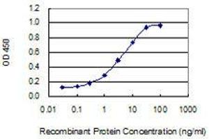 Detection limit for recombinant GST tagged NME4 is 0. (NME4 抗体  (AA 99-187))