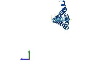 Protein Structure (PS) image for Arachidonate 5-Lipoxygenase-Activating Protein (ALOX5AP) (AA 1-161) protein (His tag) (ABIN7551997)