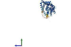 AlphaFold protein structure predicition of Human Recombinant SLC10A6 Protein, UniprotID Q3KNW5