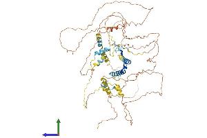 Protein Structure (PS) image for Protein Phosphatase 1, Regulatory Subunit 15B (PPP1R15B) (AA 1-713) protein (His tag) (ABIN7550917)