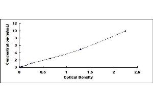 Typical standard curve (CEBPA ELISA 试剂盒)