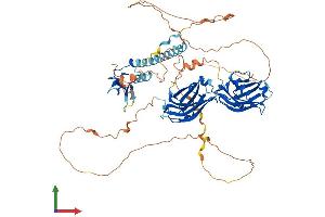 Protein Structure (PS) image for Rabphilin 3A (RPH3A) (AA 1-681) protein (His tag) (ABIN7563286)