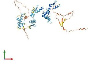 Protein Structure (PS) image for Zinc Finger Protein 621 (ZNF621) (AA 1-439) protein (His tag) (ABIN7545678)