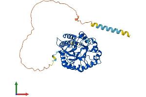Protein Structure (PS) image for Mannosidase, Endo-alpha (MANEA) (AA 1-462) protein (His tag) (ABIN7557961)