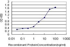 Detection limit for recombinant GST tagged HNMT is approximately 0. (HNMT 抗体  (AA 184-292))
