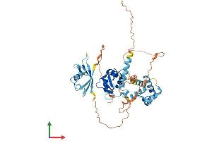 Protein Structure (PS) image for GA Binding Protein Transcription Factor, alpha Subunit 60kDa (GABPA) (AA 1-454) protein (His tag) (ABIN7547844)