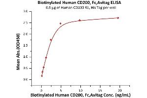Immobilized Human CD200 R1, His Tag (ABIN6972973) at 5 μg/mL (100 μL/well) can bind Biotinylated Human CD200, Fc,Avitag (ABIN5954959,ABIN6253614) with a linear range of 0. (CD200 Protein (CD200) (AA 31-232) (Fc Tag,AVI tag,Biotin))