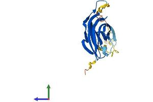 AlphaFold protein structure predicition of Human Recombinant B9D1 Protein, UniprotID Q9UPM9