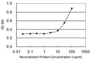 Detection limit for recombinant GST tagged ZFHX4 is 1 ng/ml as a capture antibody. (ZFHX4 抗体  (AA 2-93))
