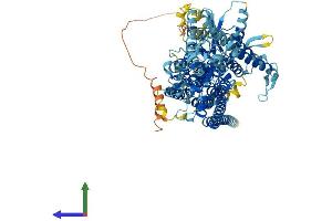 Protein Structure (PS) image for Anoctamin 5 (ANO5) (AA 1-904) protein (His tag) (ABIN7558160)
