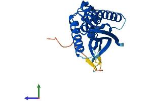 Protein Structure (PS) image for Chromosome 12 Open Reading Frame 44 (C12orf44) (AA 1-218) protein (His tag) (ABIN7561148)