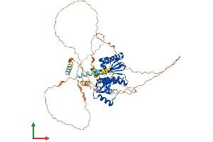 Protein Structure (PS) image for SUMO1/sentrin/SMT3 Specific Peptidase 2 (SENP2) (AA 1-588) protein (His tag) (ABIN7564838)