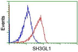 Image no. 1 for anti-SH3-Domain GRB2-Like 1 (SH3GL1) antibody (ABIN1500918) (SH3GL1 抗体)