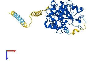 Protein Structure (PS) image for ST3 beta-Galactoside alpha-2,3-Sialyltransferase 1 (ST3GAL1) (AA 1-337) protein (His tag) (ABIN7556169)