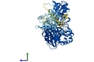 Protein Structure (PS) image for phospholipase C, delta 1 (PLCD1) (AA 1-756) protein (His tag) (ABIN7550803)