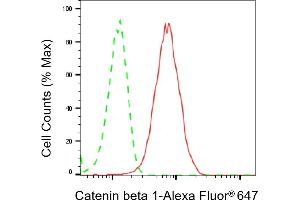 Flow cytometric analysis of Catenin beta 1 expression in HT- cells using Catenin beta 1 antibody (ABIN7797927), 1:2,000). (CTNNB1 抗体)