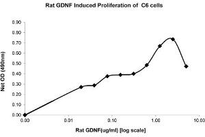 SDS-PAGE of Rat Glial Derived Neurotrophic Factor Recombinant Protein Bioactivity of Rat Glial Derived Neurotrophic Factor Recombinant Protein. (GDNF 蛋白)