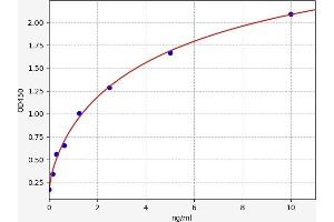Beta-secretase 1 (BACE1) ELISA Kit