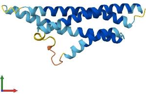 AlphaFold protein structure predicition of Human Recombinant CNIH3 Protein, UniprotID Q8TBE1