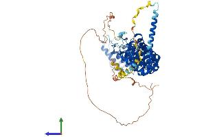 AlphaFold protein structure predicition of Human Recombinant PPP2R5D Protein, UniprotID Q14738