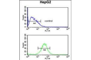Flow cytometric analysis of HepG2 cells (bottom histogram) compared to a negative control cell (top histogram).