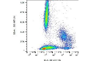 Flow cytometry analysis (surface staining) of human peripheral blood with anti-(HL-38) PE. (HLA-DP/DR 抗体  (PE))