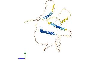 Protein Structure (PS) image for PRKC, Apoptosis, WT1, Regulator (PAWR) (AA 1-340) protein (His tag) (ABIN7550645)
