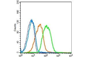 Mouse Blood Cells probed with ADAM28 Polyclonal Antibody, Unconjugated  (green) at 1:30 for 30 minutes followed by a FITC conjugated secondary antibody compared to unstained cells (blue), secondary only (light blue), and isotype control (orange). (ADAM28 抗体  (AA 321-420))
