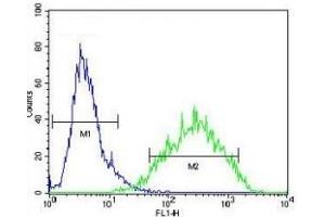Flow Cytometry (FACS) image for anti-RAN, Member RAS Oncogene Family (RAN) (AA 112-140) antibody (ABIN3032430)