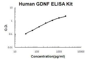 Human GDNF PicoKine ELISA Kit standard curve (GDNF ELISA 试剂盒)