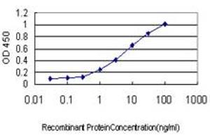 Detection limit for recombinant GST tagged MTMR2 is approximately 0. (MTMR2 抗体  (AA 5-100))