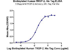 Immobilized Anti-TROP-2 Antibody, hFc Tag at 0. (TACSTD2 Protein (AA 27-274) (His-Avi Tag,Biotin))